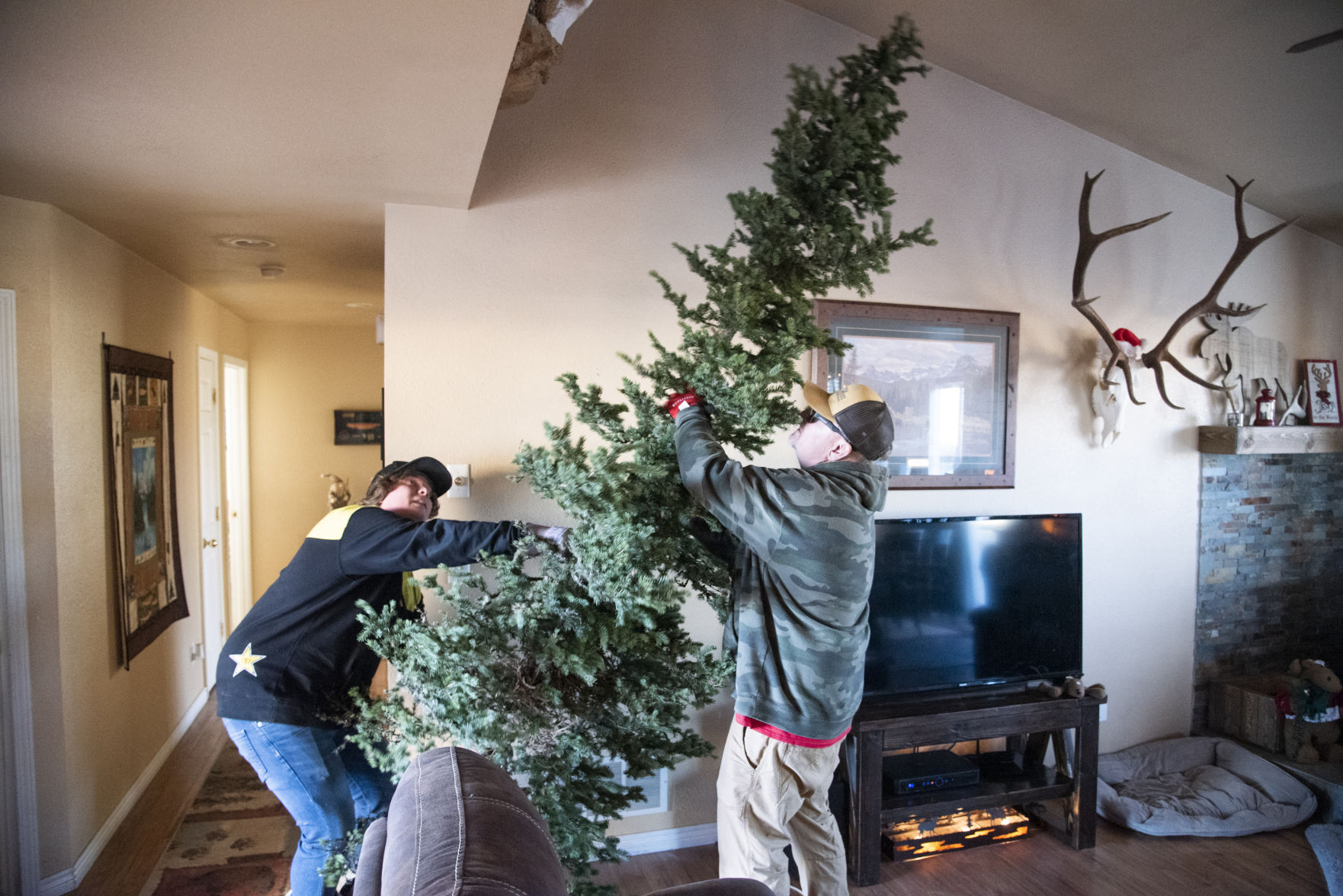 Christmas Tree Hyalite